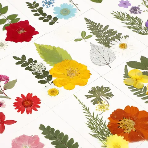 Sunflower Natural Dried Pressed Plants Handmade DIYSupplies for Beauty Nail Art Party Holiday Decoration Pressed Flower Painting