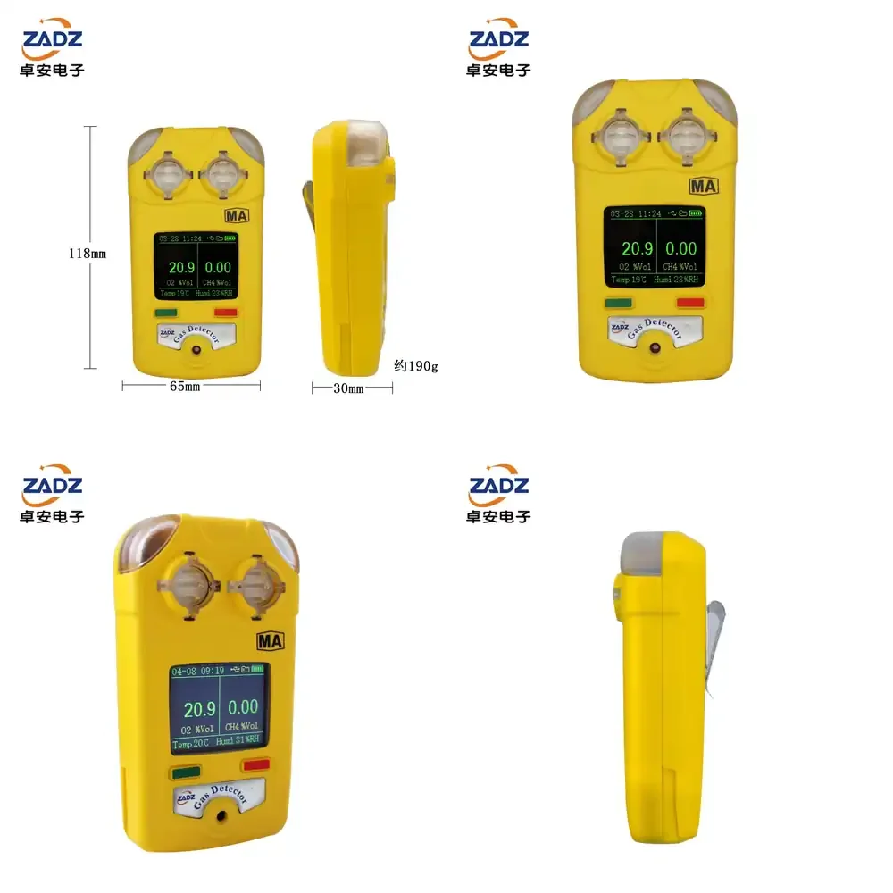 

Long Range Portable Methane Dual for Industrial Safety Monitoring Waterproof Dustproof Multi