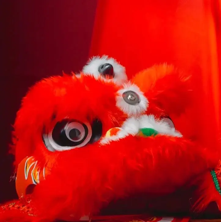 

Blink Eyes 12 inch 2-5 Age Lion Dance Costume Drum Cosplay Props Kid Toy Party Sport Festival Christmas Outdoor Stage Mascot