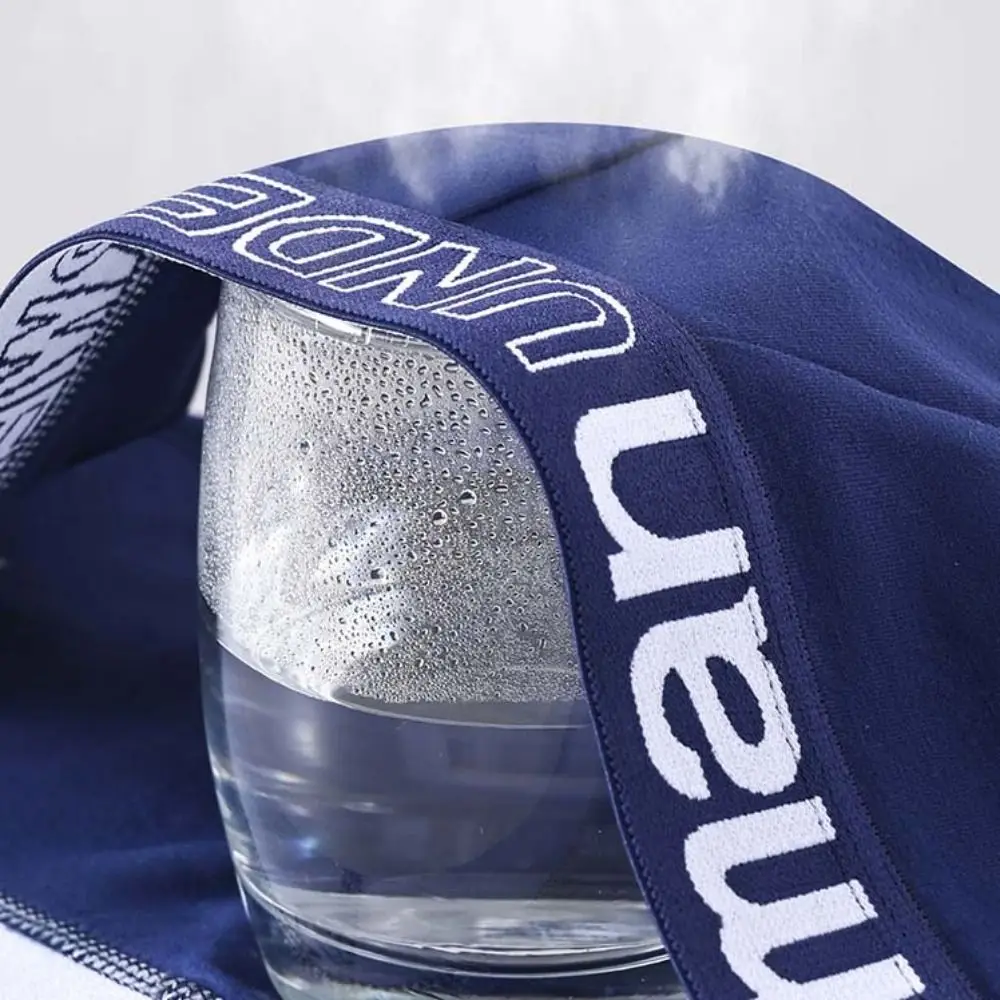 

5PCS Japanese Style Low Waist Men Thin Panties Briefs Male Lingerie Men's Underwear Elastic Letter Underpants Gifts