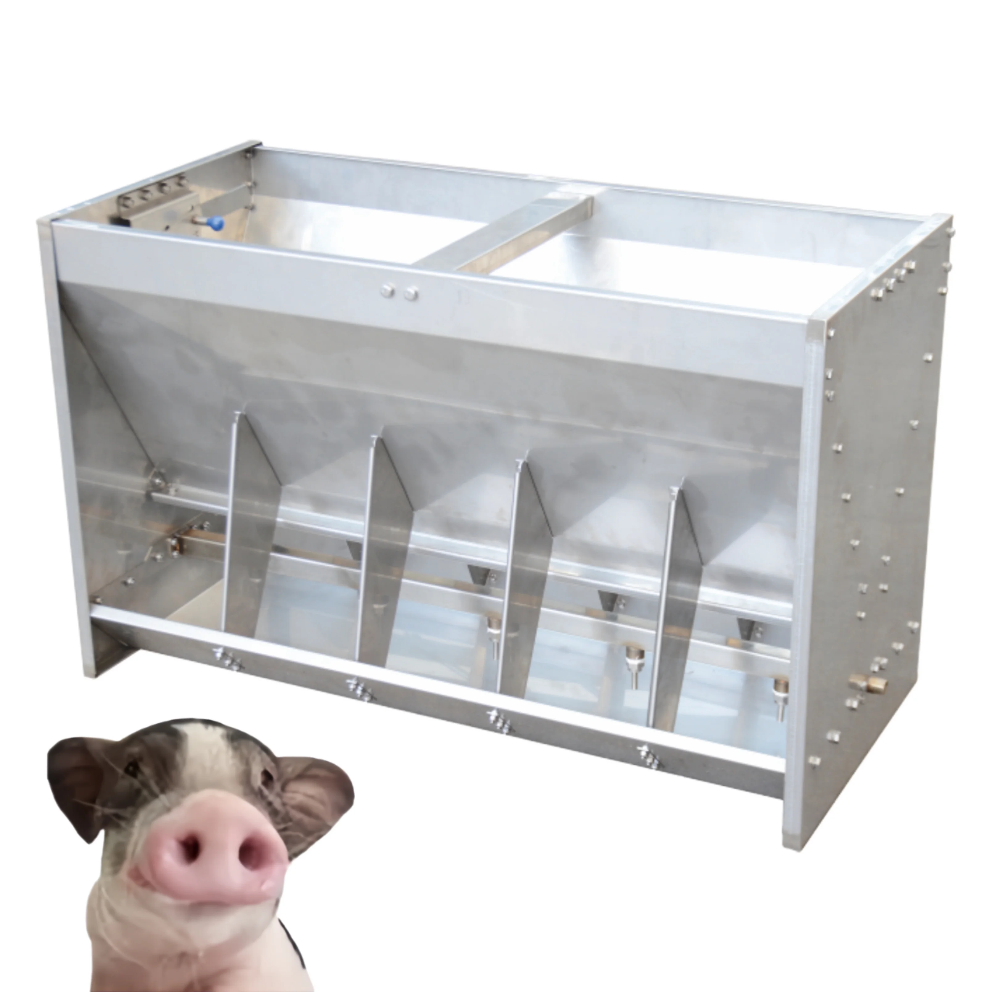 

1-Year warranty on long-life animal feeders