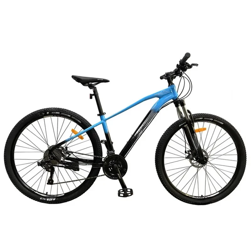 Factory Best-Seller: Aluminum Alloy Mountain Bike (29-inch) — Dual Disc Brake, 21-Speed ​​(Model C)