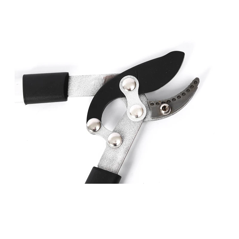 فرع المقلم الطويل لمط حديقة SK5 الصلب حديقة مقص أداة المهنية أدوات يدوية البستنة شجرة الفاكهة تشذيب المقصات