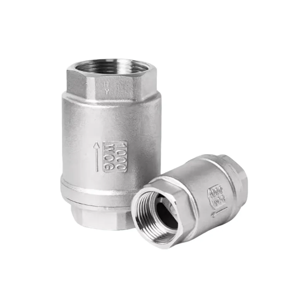 Stainless Steel SS304 BSPT Internal Thread Vertical Spring Check Valve 1/4 3/8 1/2 3/4 1 DN8-DN25 Check Valve