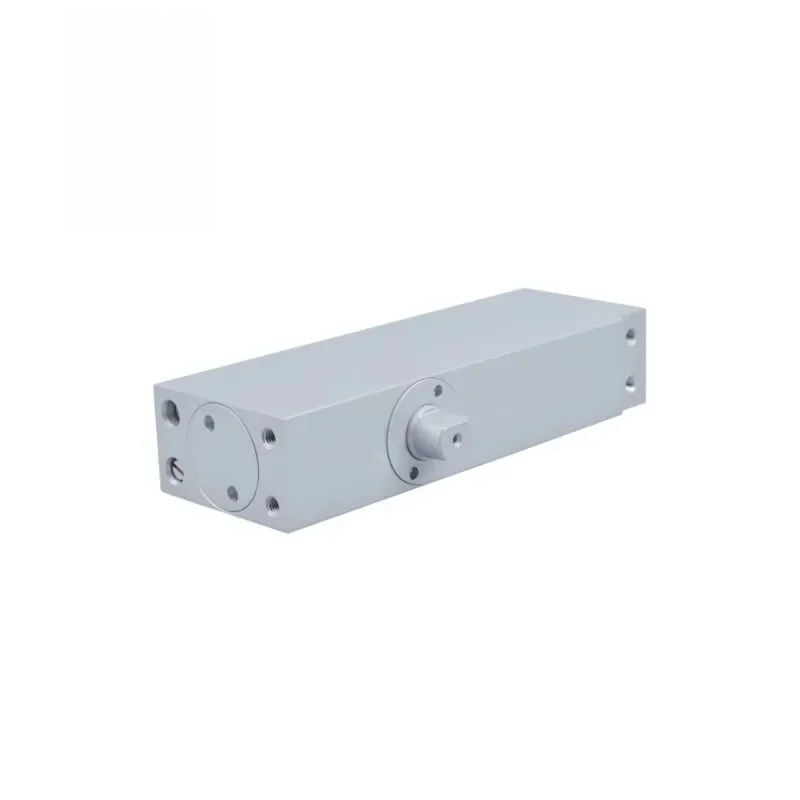 Door Plus Bearing Hidden Wooden Door Closure Invisible Pivot Hinge