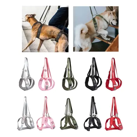 Harnais levage réglable pour les chiens, Support pattes arrière, harnais levage