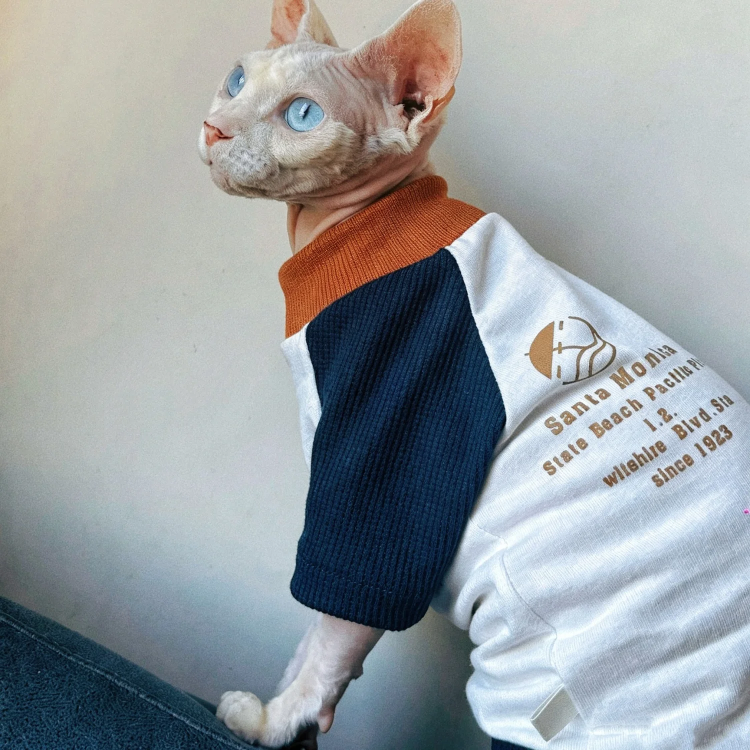 Vintage Letter Print Pet Cat T‑Shirt Spring Soft Cute Cotton Raglan Sleeve Clothes For Sphynx Devon Rex Hairless Cat Autumn Wear