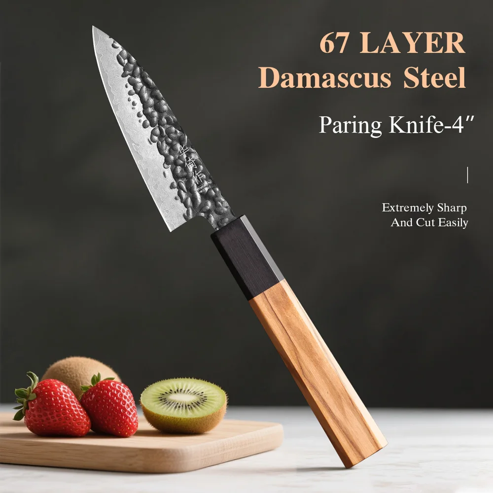 4-Zoll Japanisches Handgefertigtes Schälmesser 67-Lagen Damaszener Stahl Professionelle Kochmesser Küchen-Allzweckmesser Obst-Scharfmesser Kochutensilien