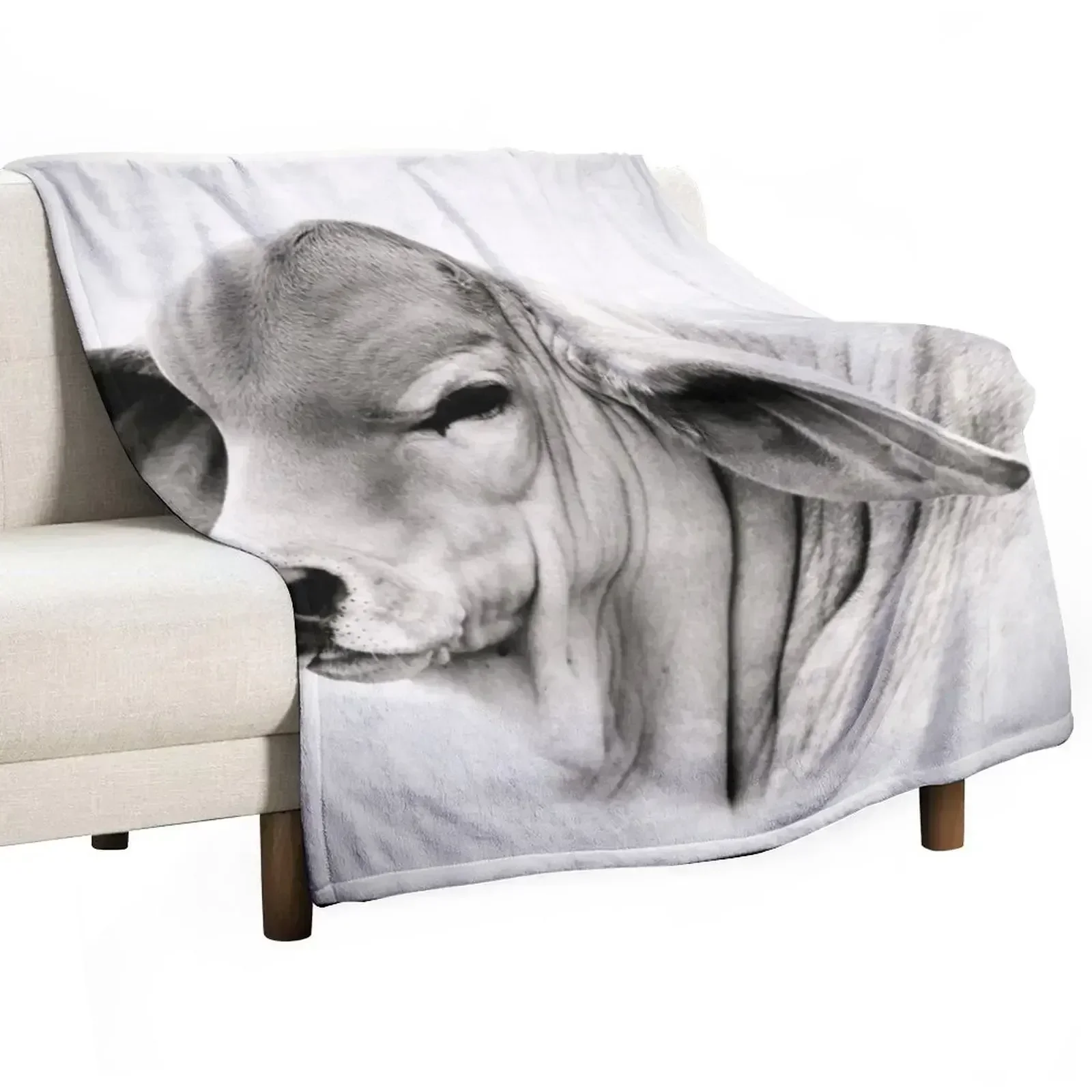 BRAHMAN CALF, PORTRAIT, WALL ART Manta decorativa de fácil cuidado y cómoda para sofá