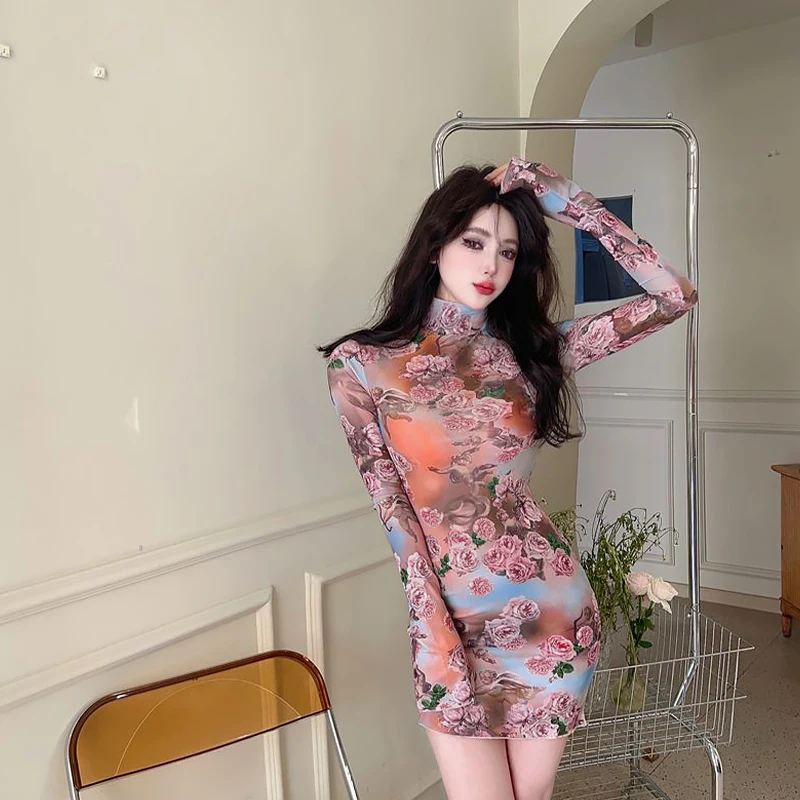 Mesh See Through Sexy Floral Print Long Sleeve Club Party Sheath Mini Dress