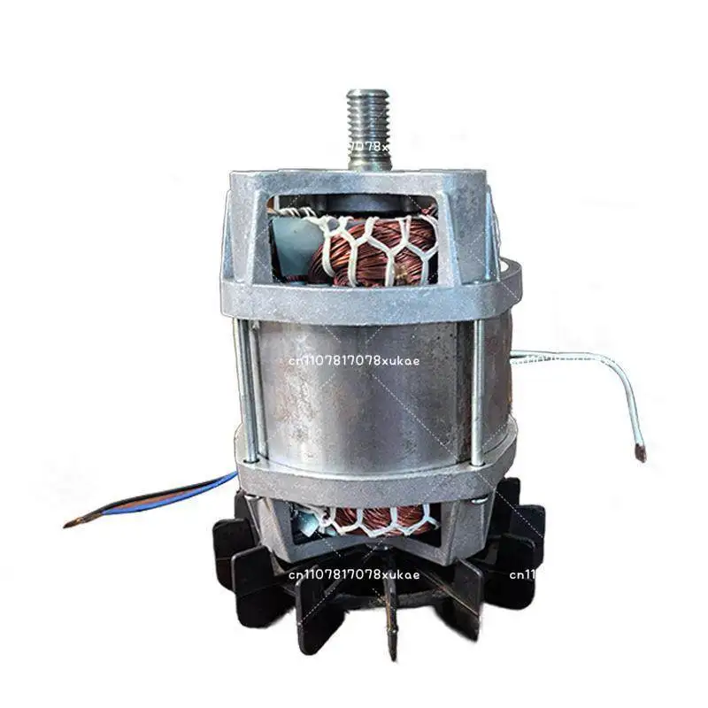 550w Blender Motor Electric Mixer Motor Small Concrete Mixer Motor view 5