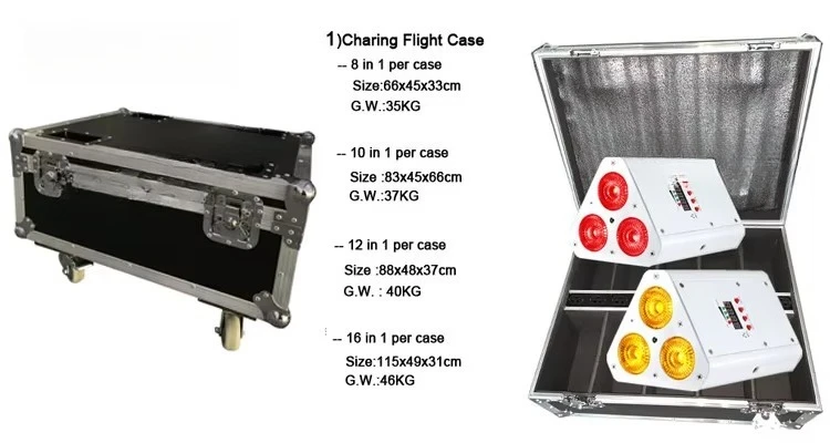 6in1/12in1/8in1 charge flight case