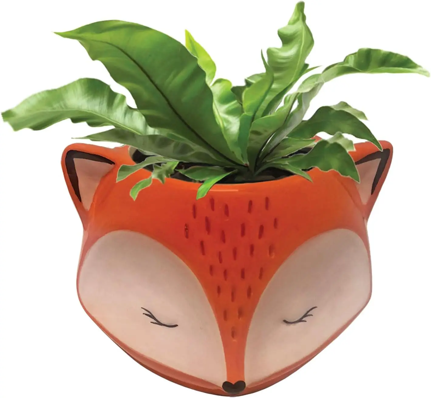 

Ceramic Orange Fox Planter, Drainage Hole, Orange