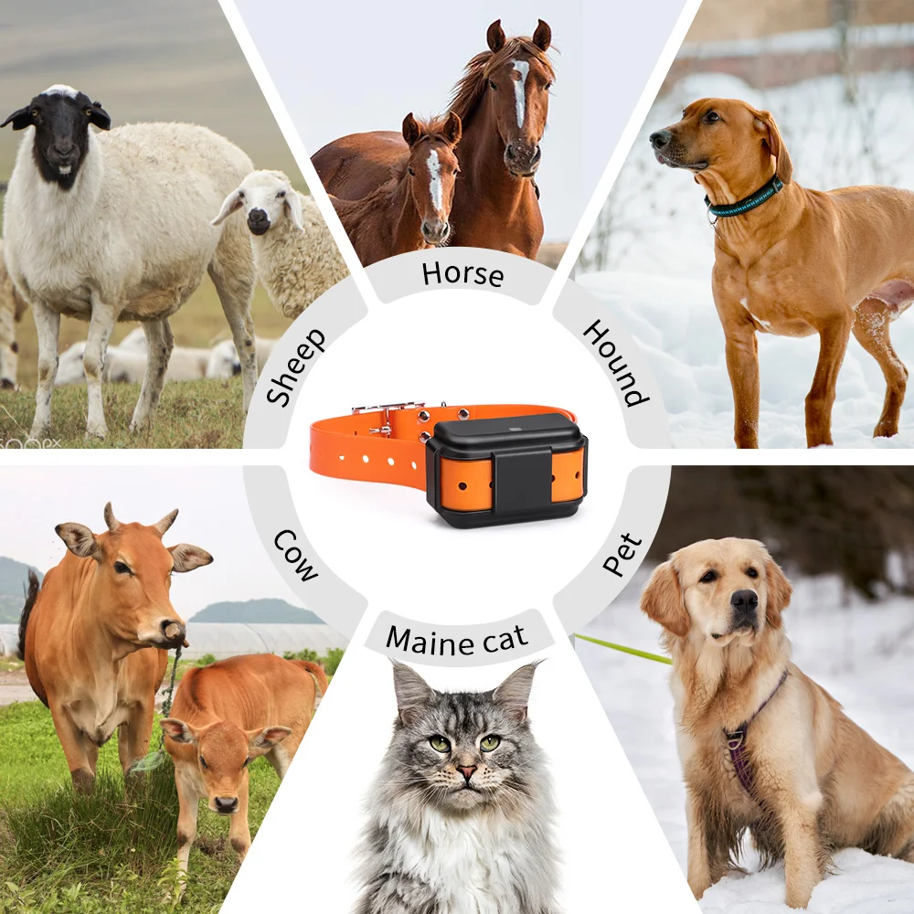 MiCODUS 4G Dog GPS Tracker Hunting Dogs Collar MP50G 4000mAh Waterproof IPX7 Realtime Track Route Playback Speaker Web & APP