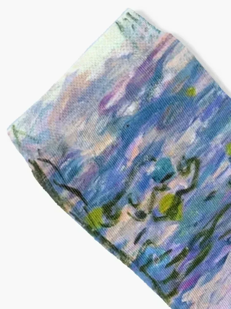 Water Lilies Monet Socks cool gift golf sports stockings Socks Man Women's