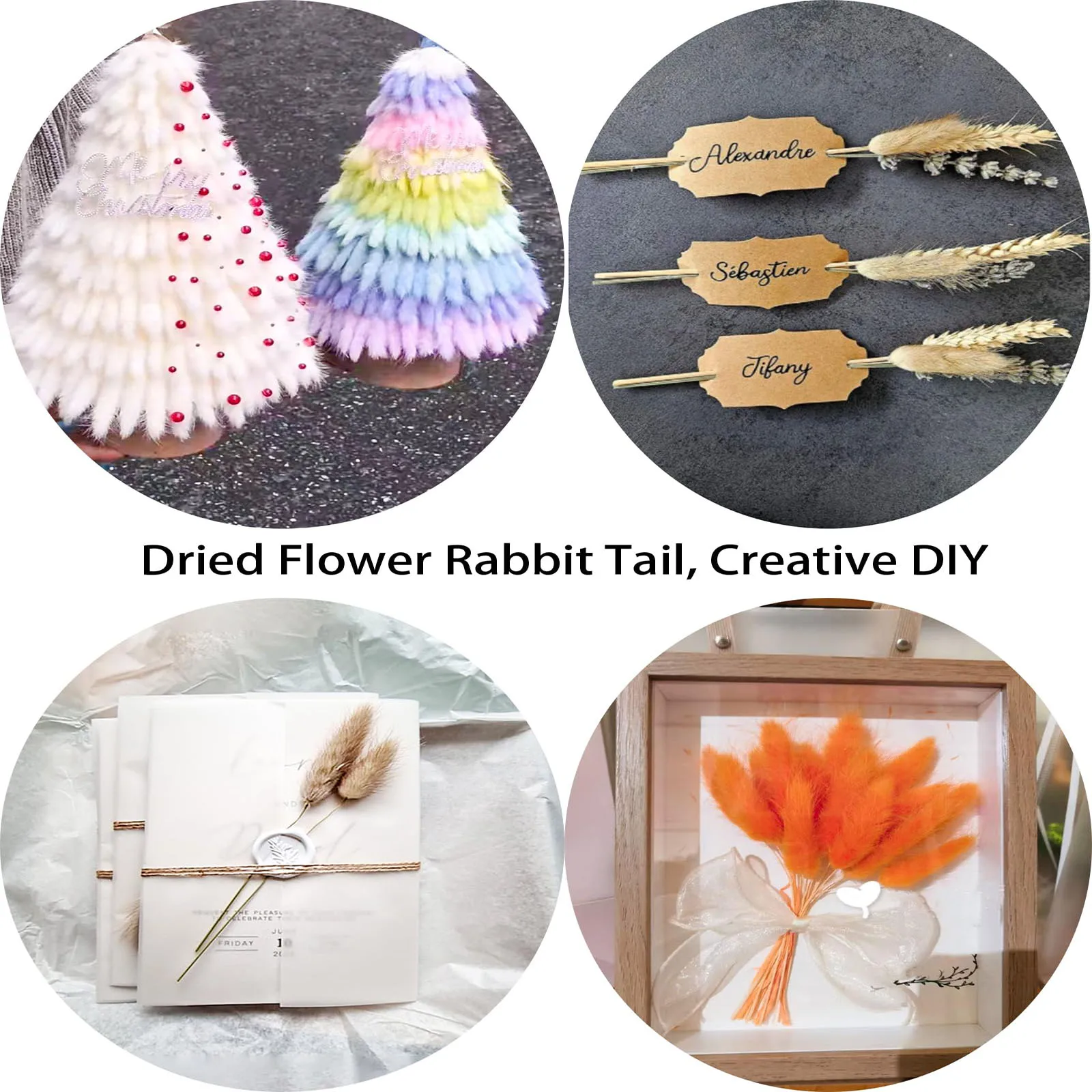 Queues de lapin Pampas séchées roses, 120 tiges, décoration d'herbe, fleurs Pompas pour centre de Table de mariage Boho, décoration de Table de maison et de chambre à coucher