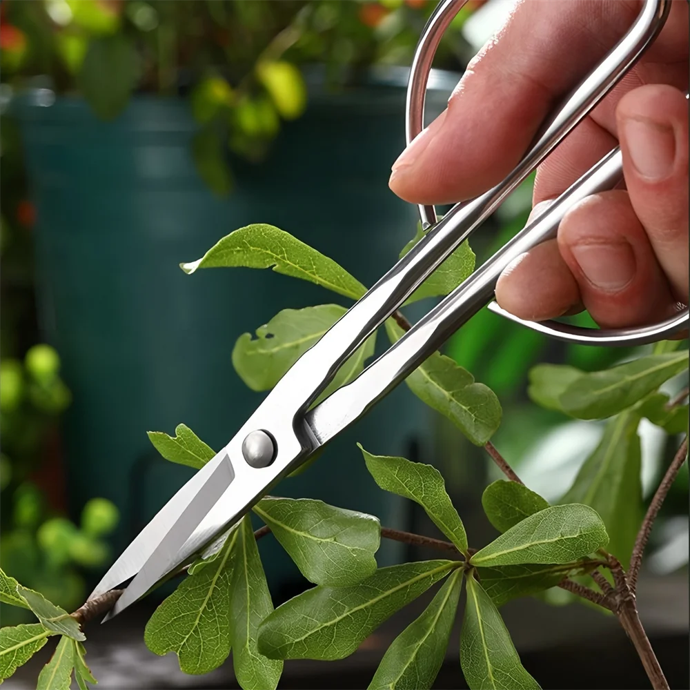 المهنية شارب حديقة مقص شجرة اليد مقص حديقة الفاكهة قطف مقص البستنة مقص التقليم مقص #4