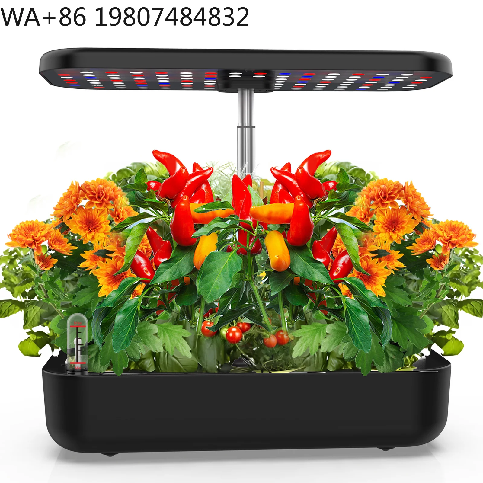 Height Adjustable LED Fill Light Soilless Cultivation Pot Automatic Circulation  Kitchen Balcony Herb Vegetable Hydroponic