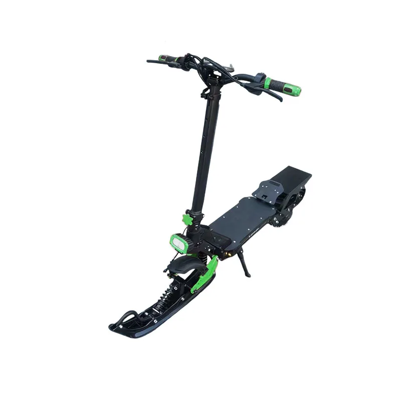 HL-GS-11 2-in-1 Stand-Up Snowmobile & Electric Scooter - 800W All-Terrain Vehicle