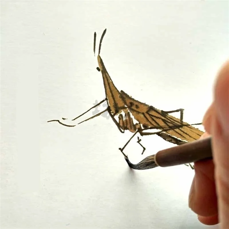 3 قطعة فرشاة الرسم الفنية الصينية القلم S M L لخط هوك الخط المائي فرش الشعر الطبيعي أدوات الرسم المهنية #5