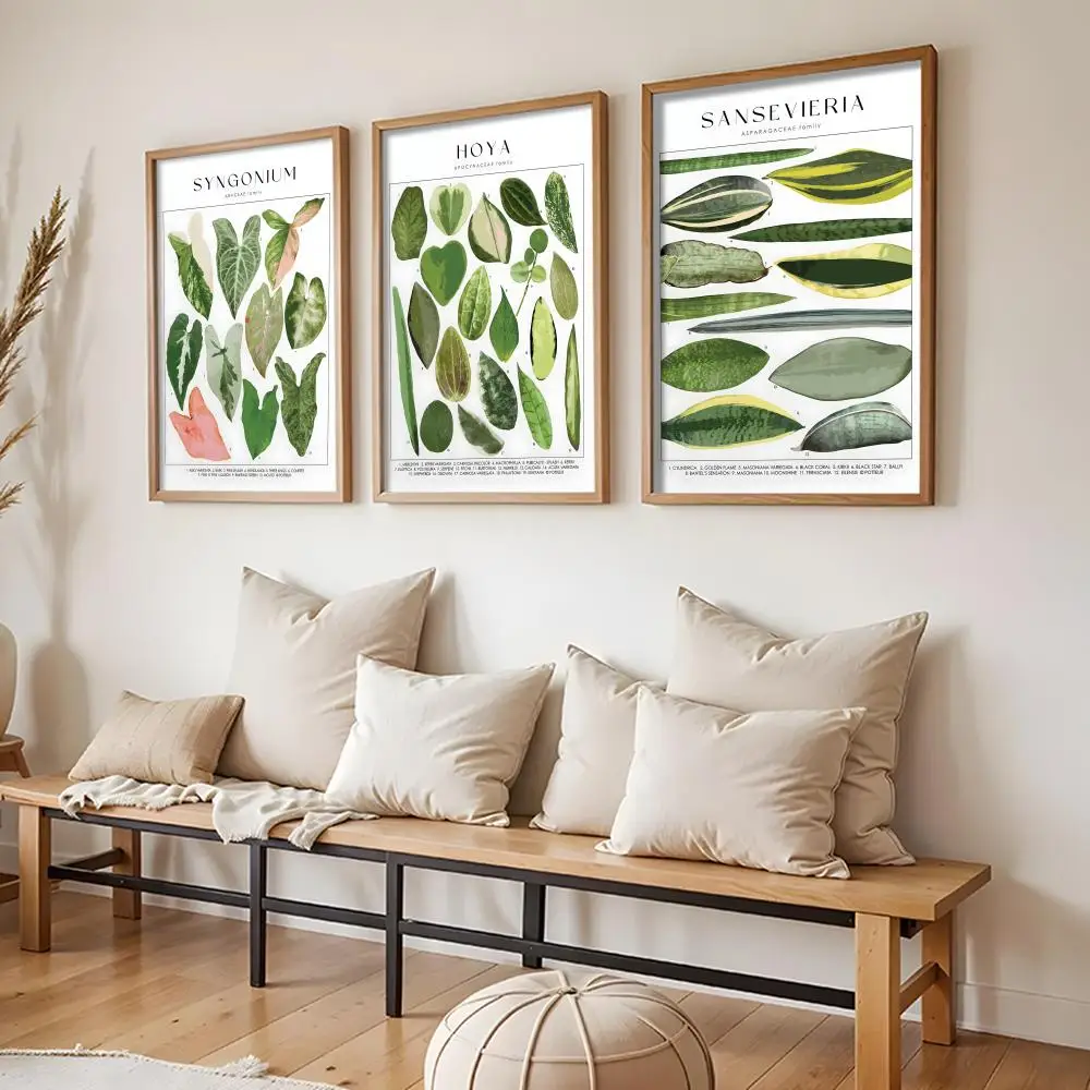 House Plant Identification Poster Stickers HD Painting Self-Adhesive Art for Bedroom Living Room Home Decor Wall Decals Gift