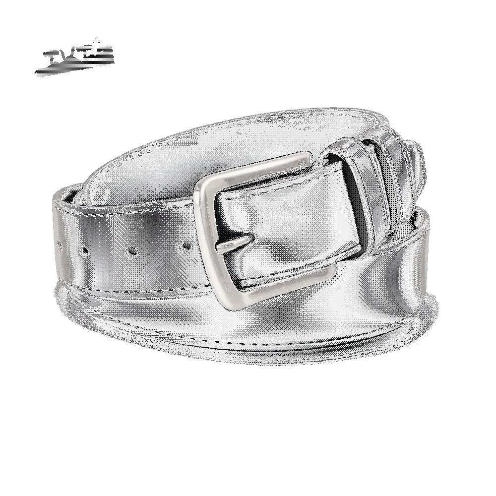 

Imitation Leather Anti Theft Belt Length 115/125cm Buckle Security Zipper Belt Brown Black Hidden Money Belt Travel