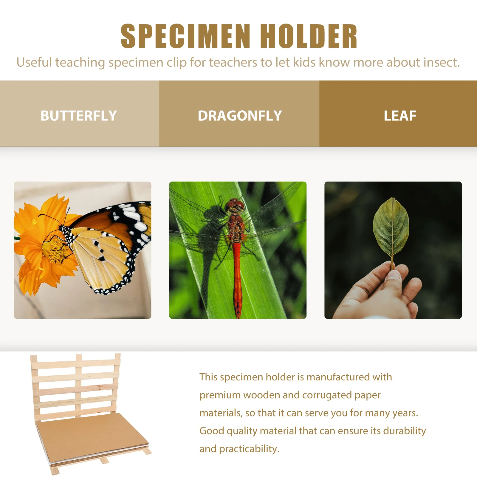 

1Set Premium Wood Strip Specimen Clamp with Absorbent Paper Portable Teaching Equipment Herbarium Wood Clip Specimens Holder