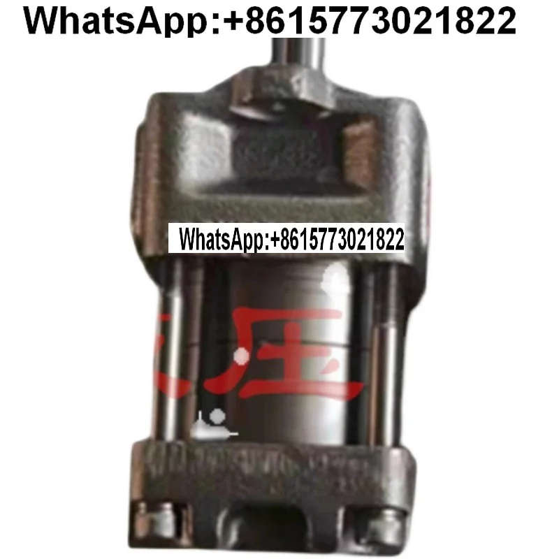 

Sumitomo QT23/32/33/42/43/52/53/62/63 Haitian Injection Molding Machine Servo Internal Engagement Oil Pump
