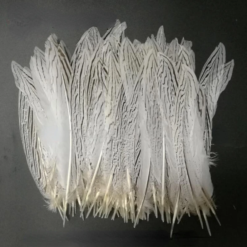 10Pcs/lot White color lady amherst pheasant silver feather 30-55cm long silver white chicken tail Feathers feathers decoration