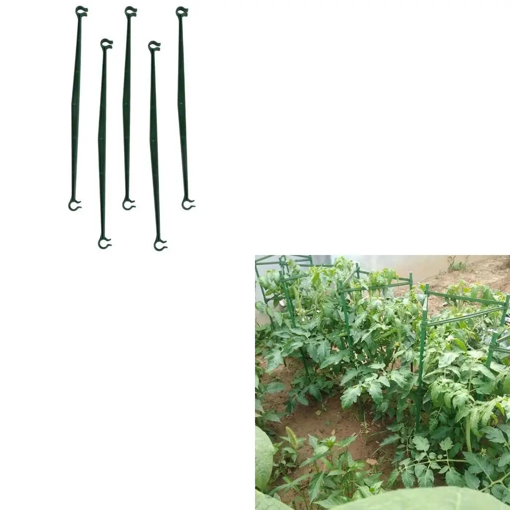 

F19b 36pcs Кол.