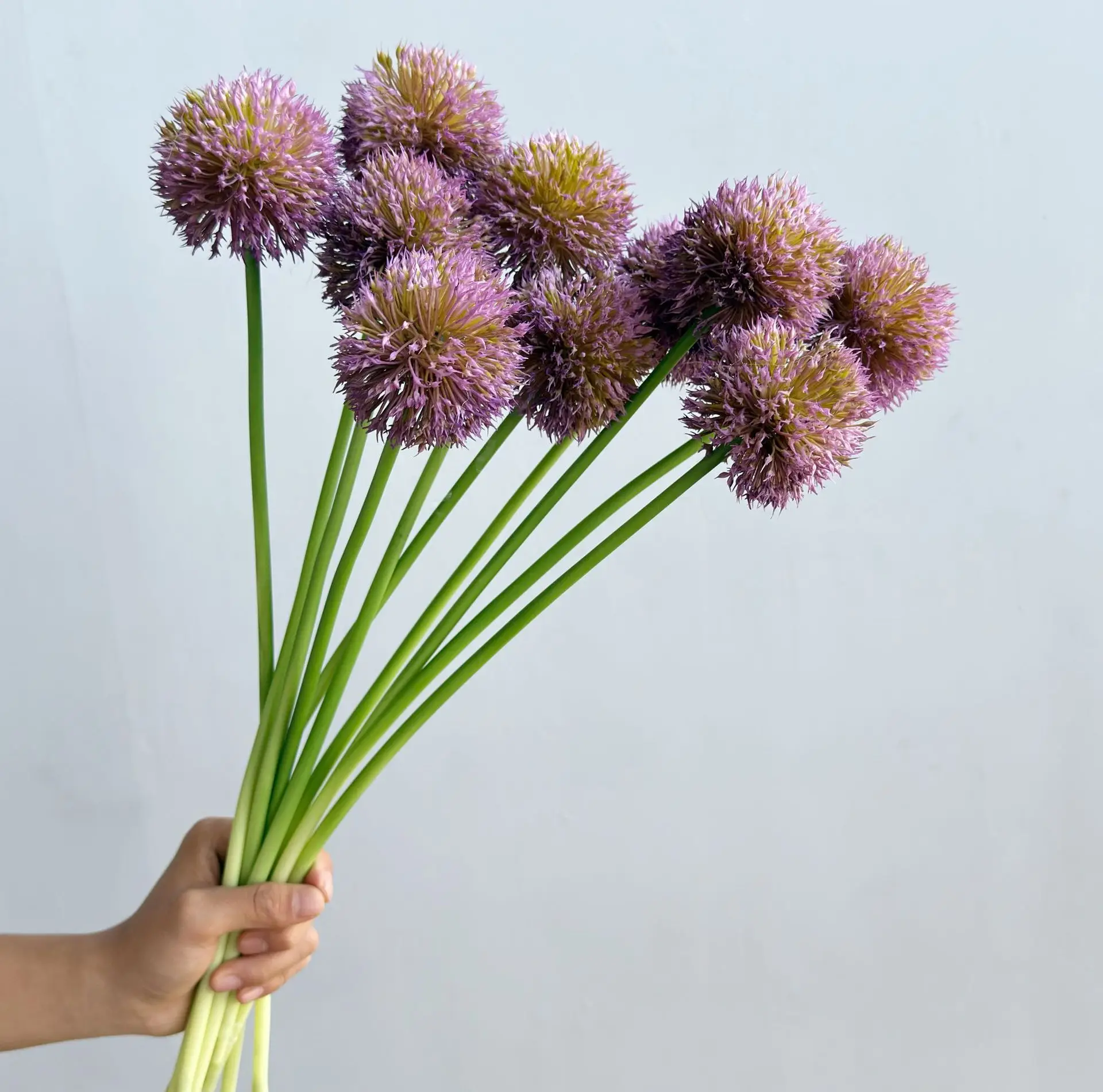 10 Stück Künstliche Plastikblumen Zwiebelkugeln Heimdekoration Zwiebelblumen Brautstrauß Hochzeitsdekoration Party Fotografie-Requisiten – Detail 4