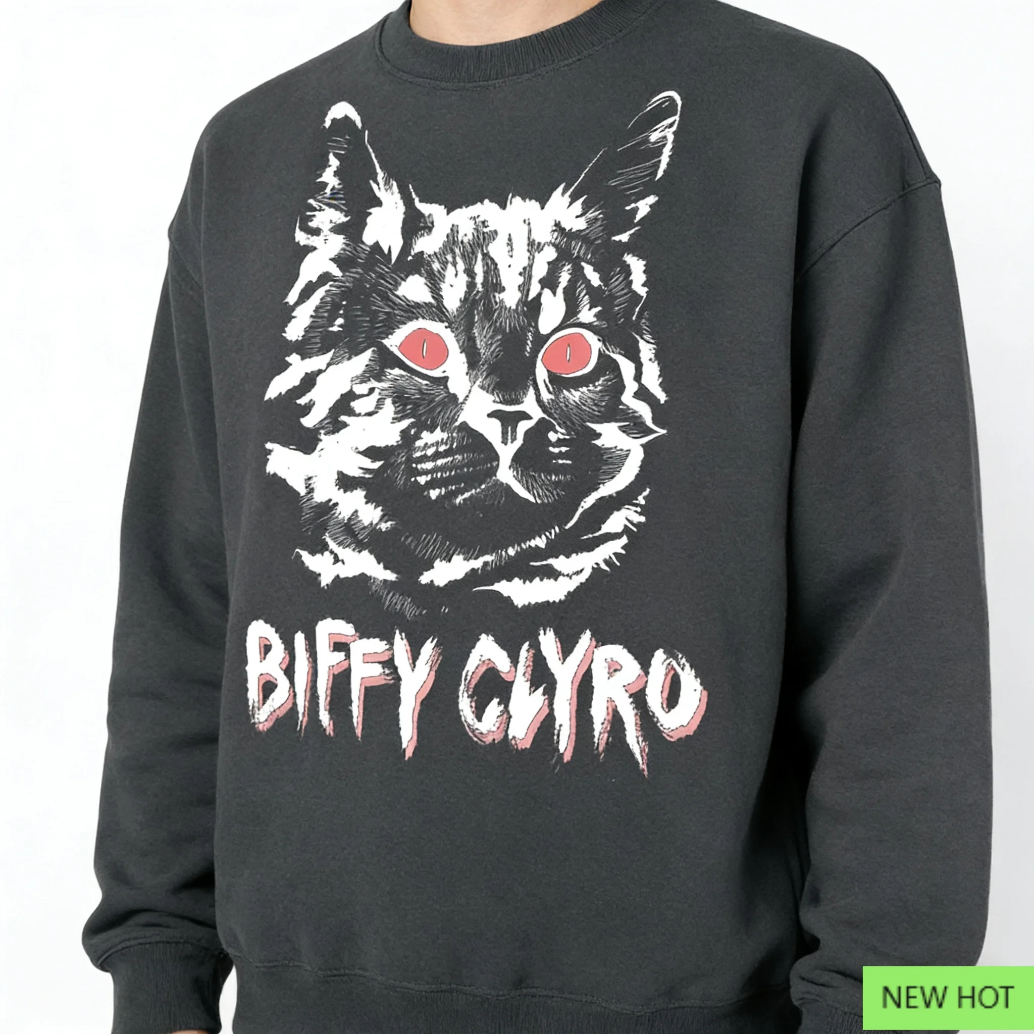 Biffy Clyro Dark Cat Graphic Hoodie, Alternative Rock Sweatshirt, Perfect for Fans Who Love Band Style & Edgy Vibe