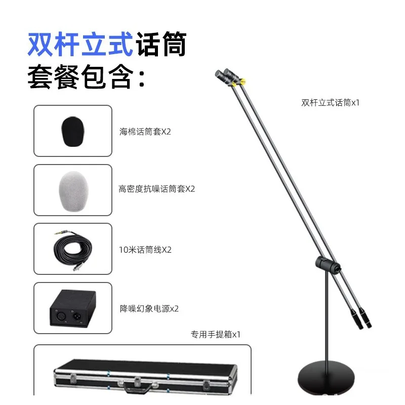 Chorus condenser microphone microphone stage speech performance floor type