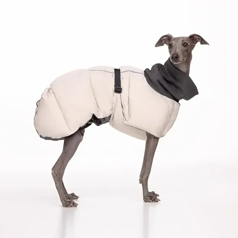 

Autumn and Winter Cotton-padded Pet Clothes Small-large Dog Clothes Whitbitt Greyhound Doberman Clothes Dogs Accesorios