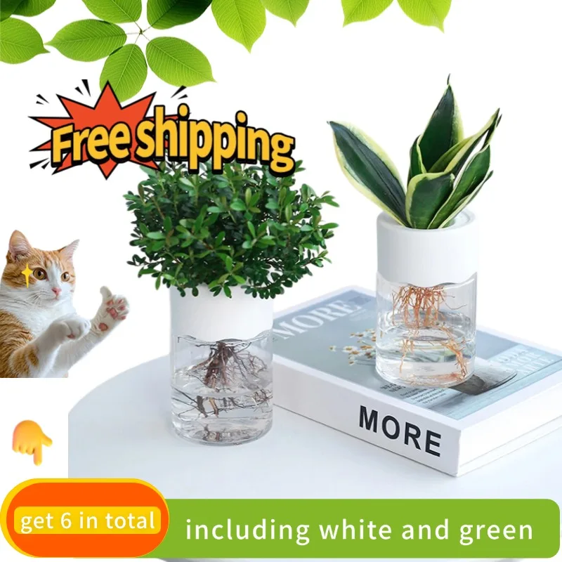 🔥 [Pack of 6] Transparent Hydroponic Planting Set |   Root Growth Visual + Algae Prevention Design |   Home/Office Lazy Gardening (Delivered Substrate for a Limited Time)