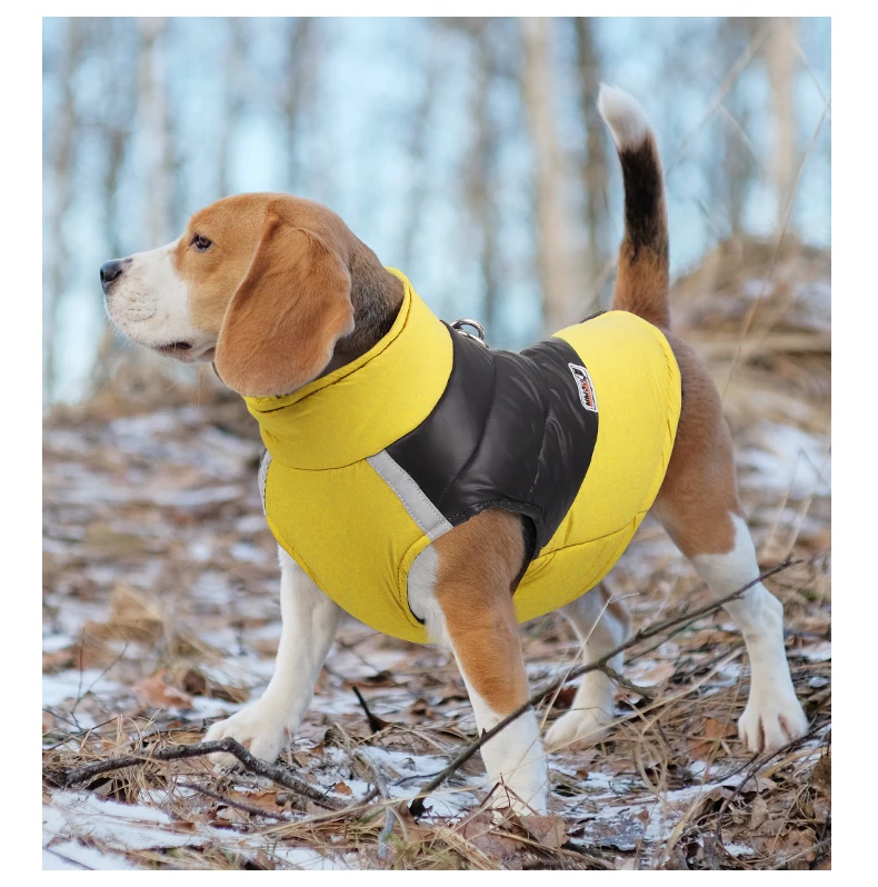 Wasserdichte Winter-Hundekleidung, warme Haustier-Baumwolljacke, Weste für kleine große Hunde, Welpen, französische Bulldogge, Mantel, Chihuahua-York-Kostüm – Detail 10