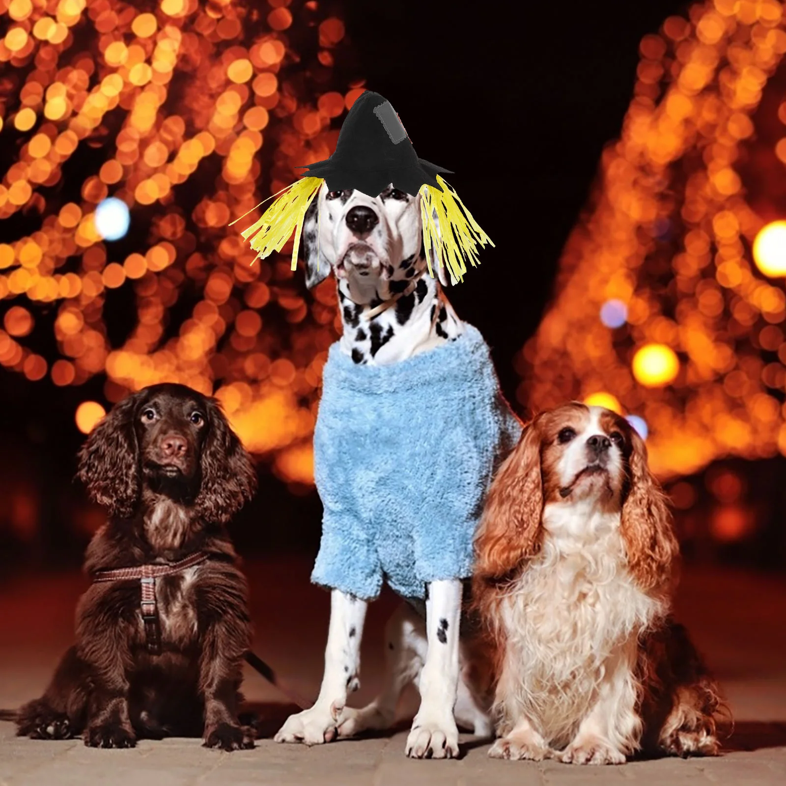 Halloween kostuum vogelverschrikker hoeden dierbenodigdheden cosplay accessoire caps kap voor hond kat maat L halloween huisdier hoed