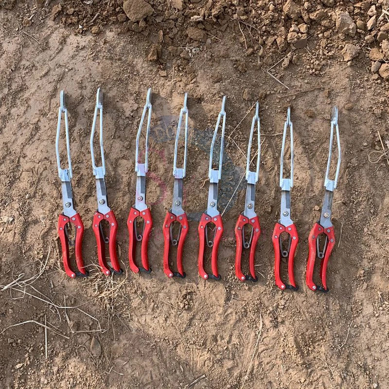 Wholesale Price Simple Profession Planting Sweet Potato Seedling Transplanting Machine Agricultural Manual Seedling Planter Clip