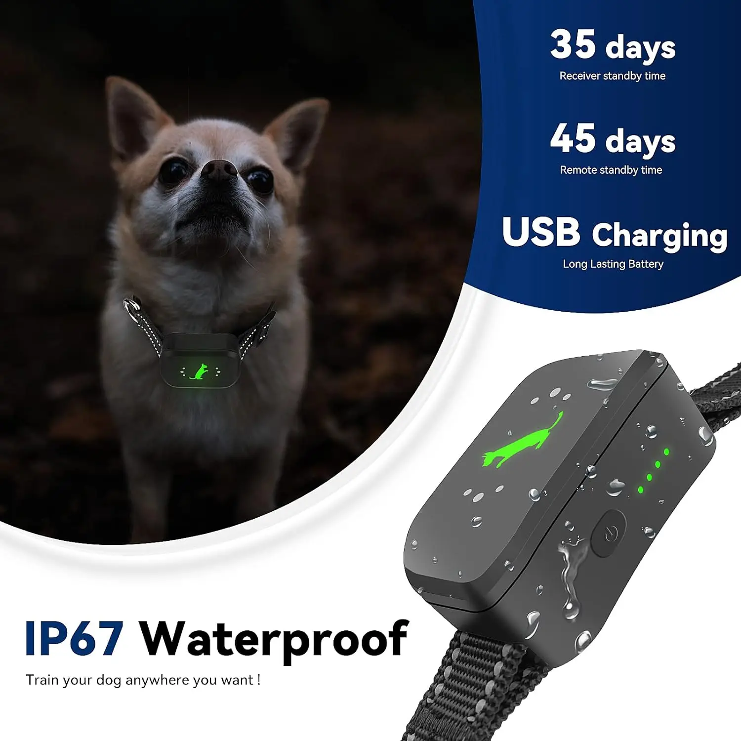 Educator E-Collar Humane Dog Training Collar with Remote 99 Safe Tapping Stimulation Levels Waterproof Rechargeable