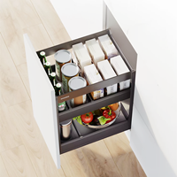 Pull Out Basket Houseware 2-Tier Spice Rack Slide Out Storage Basket Drawer Organizer Cabinet Accessory
