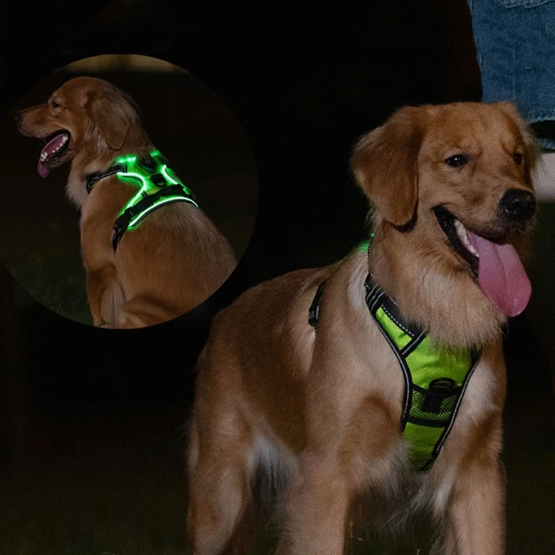 Dog Harness LED Luminous Light Up Pet Chest Strap Vest for Large Dogs Reflective Safety Outdoor Walking Dog Collars Accessories