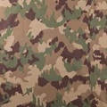 taz16