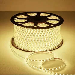 AC220V LED Strip Lights EU Plug Waterproof 1M 5M10M 25M 30M Kitchen Outdoor Garden Lamp Tape Living Room Decoration SuperBright