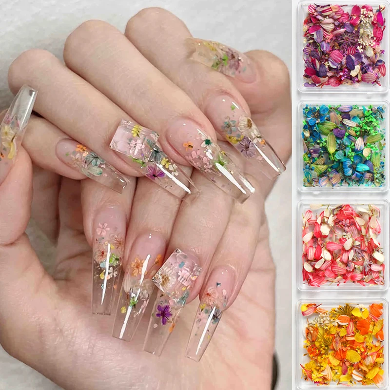 1 Doos Nail Art Bloem Decoratie Delicate Gedroogde Bloem Nail Art Decoraties Prachtige Nail Art Schoonheid Voor Bedels Accessoires