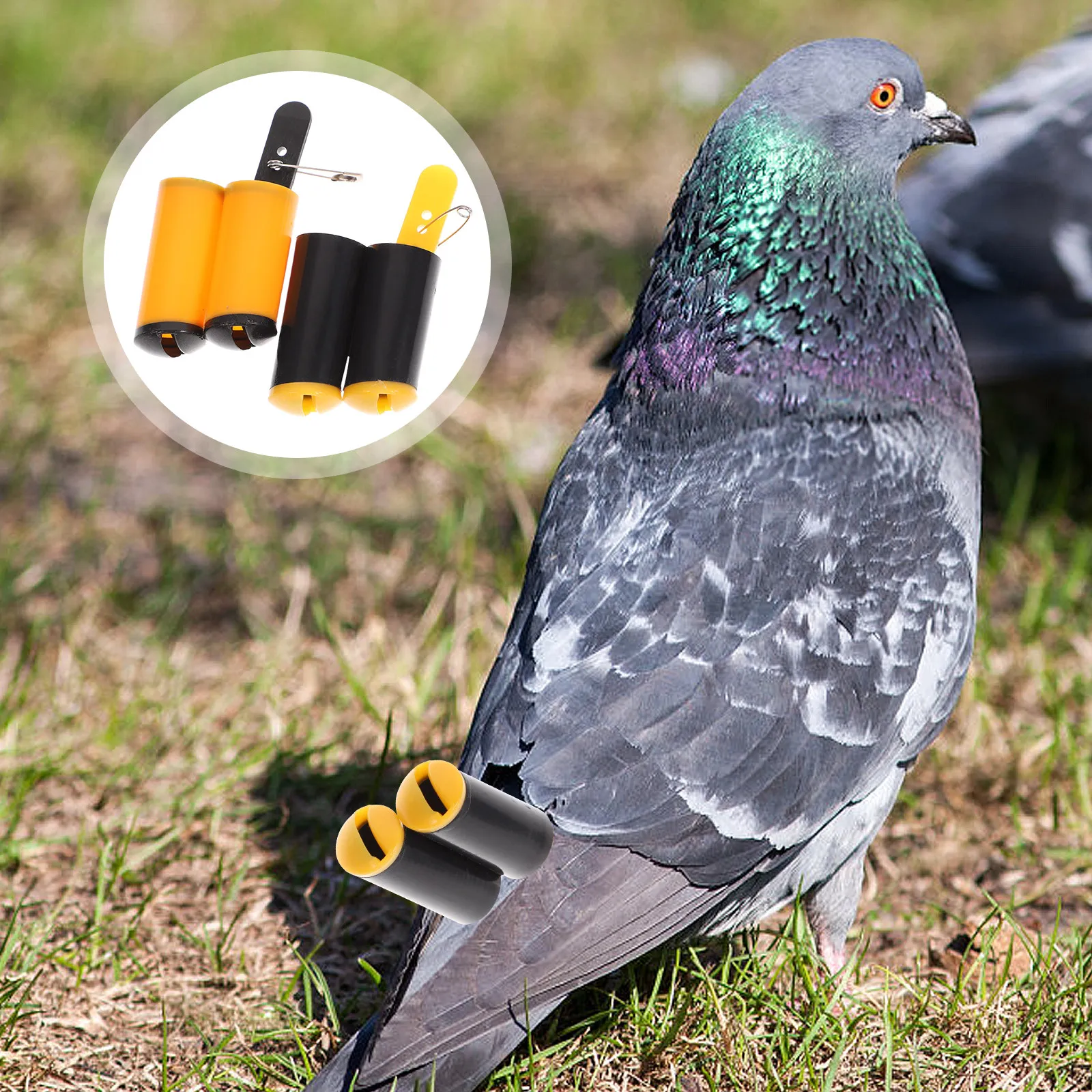 2 sifflets d'entraînement pour pigeons, professionnels, à fréquence réglable, portables, accessoires d'entraînement sonores pour l'appel silencieux des oiseaux