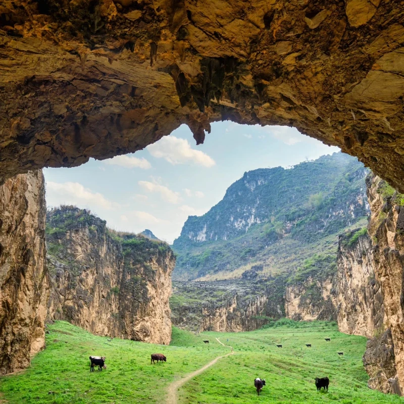 

JX Servo BLS-HV7032/7046MG Digital Servo - Brushless Motor, Full Metal CNC, High Voltage, Large Torque