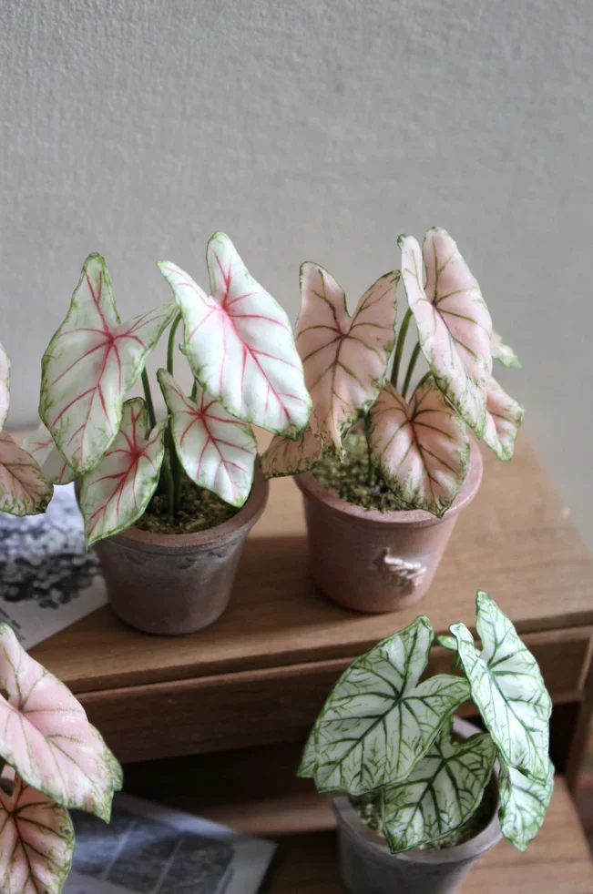 1:6 Miniature Plant Set, Handmade Realistic Fern Maple Caladium Potted,Exclusive Custom Sizes BJD Dollhouse Garden Bjd Decor Art