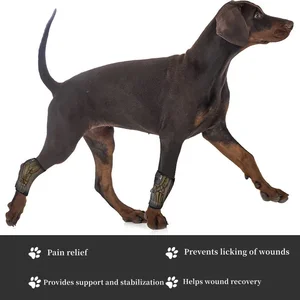Hundearthritis Schutzabdeckung, Beinunterstützung, Hundehockgelenkscheibe, Haustierknie, Genesung und Genesung, aktualisierter Verband 6 Hauptverkaufsunterstützung CAES - №6