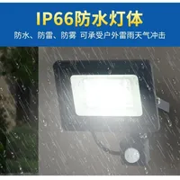 Led Flood Outdoor Motion Sensor Light 220V10W 20W 30W 50W 100W 150W Spotlight Detector Projector Lamps Waterproof Ip65 Led Focus