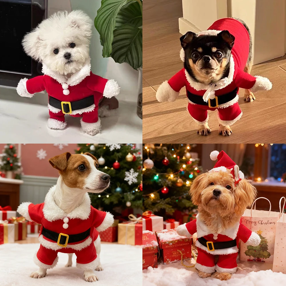 Santa Claus Pet Costume 5